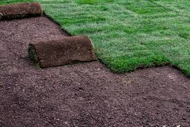 2024 sod installation cost s to
