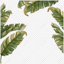 banana leaf png images with transpa