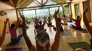 5 incredible yoga teacher training in