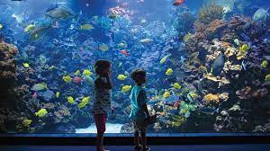 top 12 best things to do in maui with kids