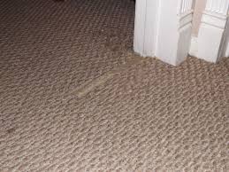 carpet scratch stopper
