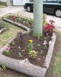Garden Edging Ideas
