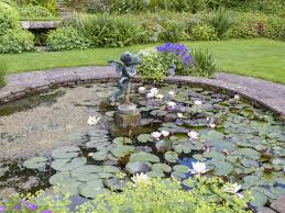 Creating A Garden Pond Saga