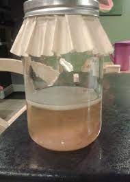 brewing kombucha without a scoby