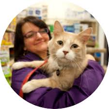 veterinary care pet services vet