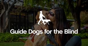 Puppy Raising Manual Guide Dogs For The Blind