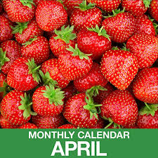 Gardening Calendar For April The Home