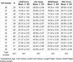 Table 1 From Fetal Kidney Measurement In 26 39 Weeks