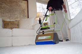 dry organic carpet cleaning in russia