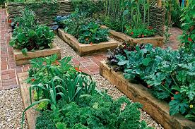 Plan Your Vegetable Garden