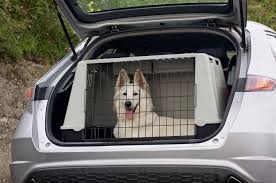 The average price for relocating a pet within the uk ranges between £310 and £425 for a long distance delivery, shorter relocation services cost between £138 and £270. How Much Do Dog Transporters Make Citizenshipper