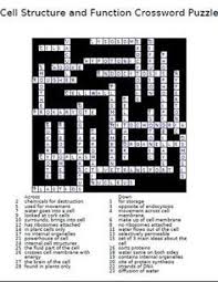 Solve the vocabulary crossword puzzles for: Knee Anatomy Crossword Human Anatomy