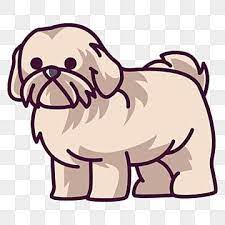 Shih Tzu Png Vector Psd And Clipart