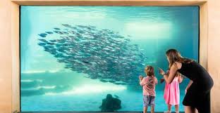 The Best Perth Zoos Aquariums 2022