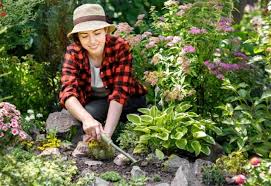 how to prevent weeds in your vegetable