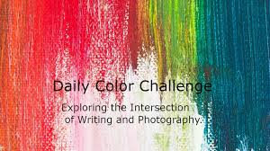 The Daily Color Challenge