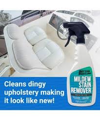 mildew stain remover cleaner boat seats