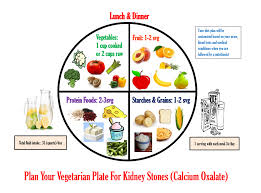 Indian Diet Plan For Kidney Stones All Inclusive Kidney