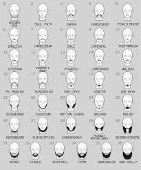 Hair types define what hairstyles suit you best and how to keep them on a roll. Facial Hair Wikipedia