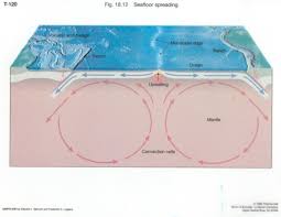 plate tectonics diagrams