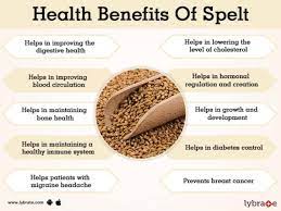 benefits of spelt and its side effects