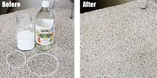 clean pet urine carpet baking soda