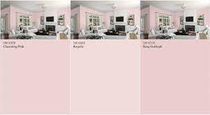 Light Pink Paint Color