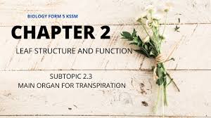 Structure of a plasma membrane part 1  rapid revision kbsm biology form 4 (chap. Biology Form 5 Kssm Chapter 2 Subtopic 2 3 Youtube