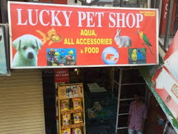 › pet supply stores near me. Sri Lucky Pet Shop Chanda Nagar Pet Shops In Hyderabad Justdial