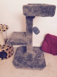 Will fit all common cat models. Catman Cat Furniture Pet Stores Edmonton Ab Phone Number