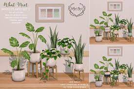 What Next House Plants 2 Set Of 3