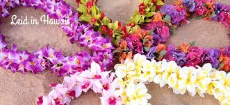 Order fresh flower leis for your wedding in honolulu. Hawaiian Flower Leis Lavahut Made In Hawaii Free Shipping