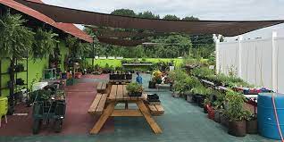 Rooftop Views Urban Gardening And Yoga