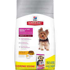 Best Small Breed Dog Food Reviews With Buyer Guides