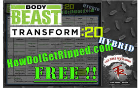 free body beast transform 20 hybrid