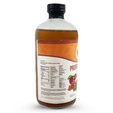 goji berry probiotic elixir w kombucha
