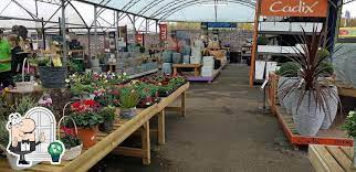 alton garden centre in wickford