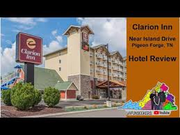 review of the clarion inn near island