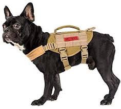 Best french bulldog wrap harness. Amazon Com Onetigris Small Dog Vest Beast Mojo Tactical Dog Harness With Durable Vertical Handle For Small P Tactical Dog Harness Small Dog Harness Dog Vests