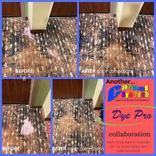 dye pro carpet dyeing restoration