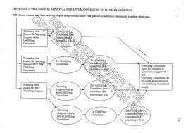 The Abortion Obstacle Course A Flow Chart Alranz