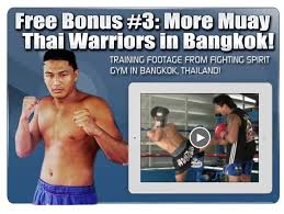 ultimate muay thai training system by