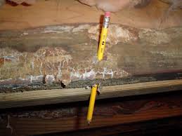 repairing wood damage in a crawl e