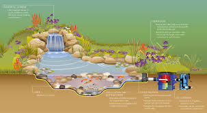 pond filter system