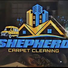 top 10 best carpet cleaning near or or