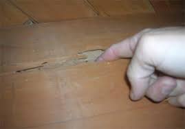 Top 3 Termite Damage Repair Options And