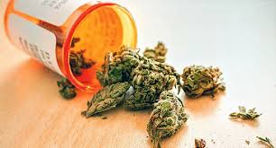 Before you start the process, get familiar with your local laws and regulations. How Medical Marijuana Works And Which Conditions It Treats