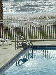 perdido key vacation als with pools