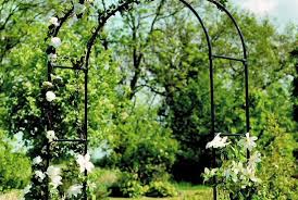 The Beauty Of Poppy Forge Gothic Arch