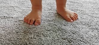 diffe types of carpet